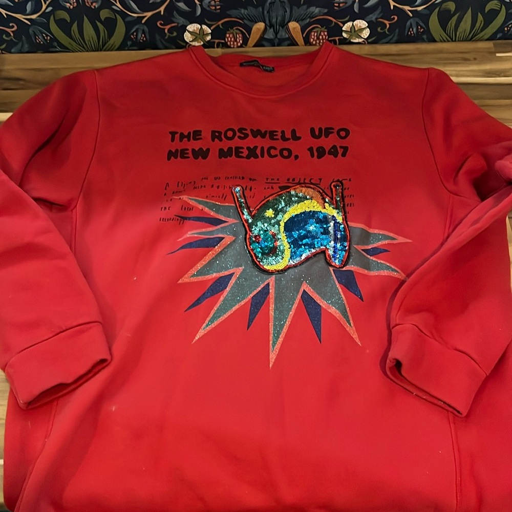 Zara Roswell ufo sequin sweatshirt